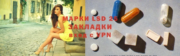 гидропоника Лагань