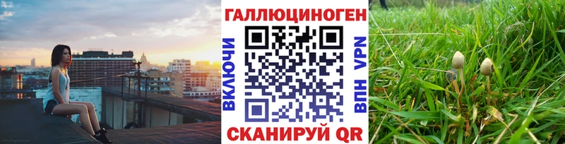 Псилоцибиновые грибы Psilocybine cubensis  продажа наркотиков  Чаплыгин 